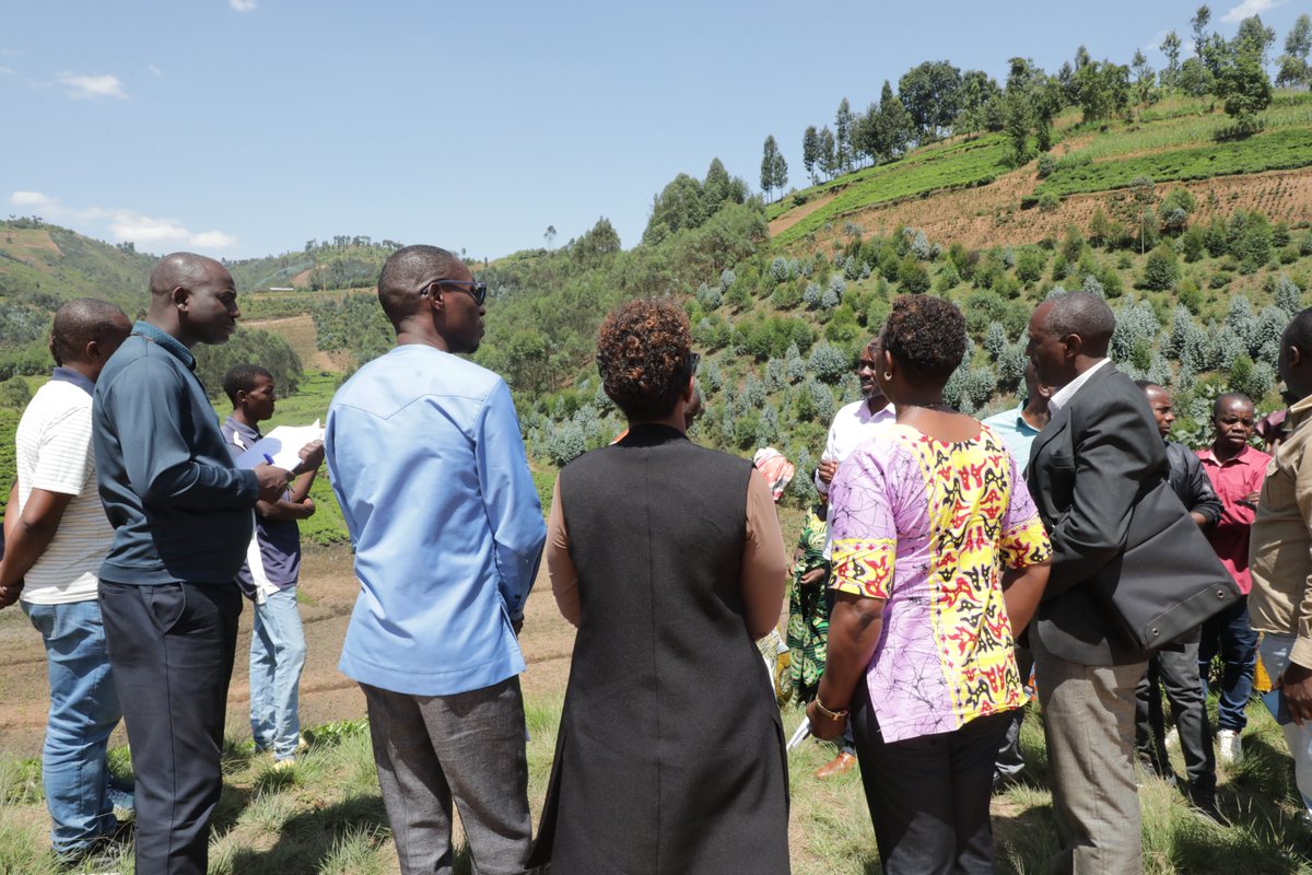 Muri uru ruzinduko,Koperative Cothemuki ikorana Muganza Kivu Tea Factory na PSAC mu gutubura ingemwe z'icyayi yagaragarije <a href="/RwandaParliamnt/">Rwanda Parliament</a>  imbogamizi zijyanye n'imihanda igeza umusaruro  ku isoko n'ikibazo kijyanye no gusaba ubuvugizi  mu buryo  bubafasha  kuvamo ideni  bafite.