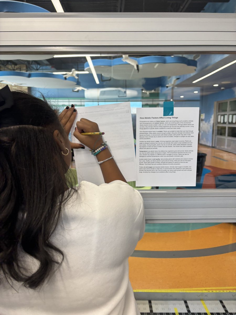 Jessica Thibodeaux tweet media