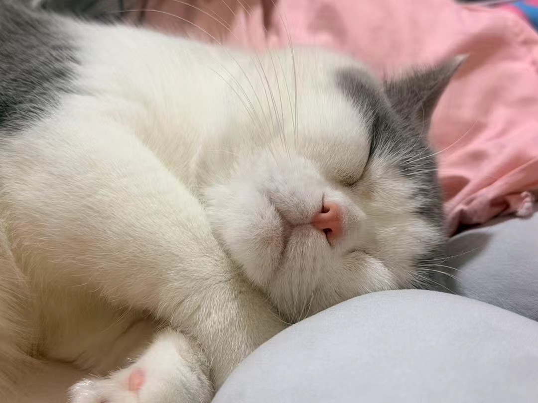 Fu7ok's tweet image. 也是该睡觉了，晚安！
明天一定！！！
信你老己~