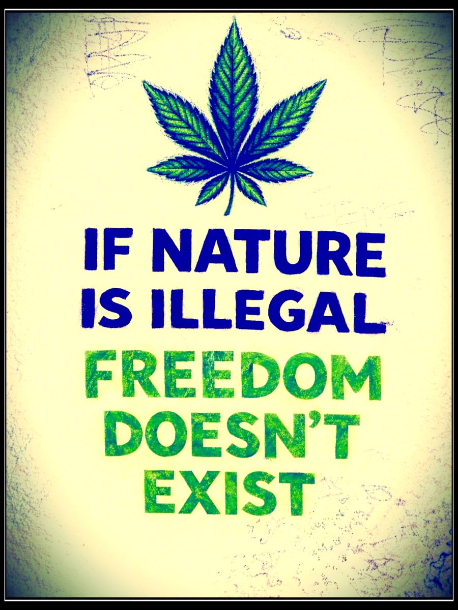 iFlyHigh™ 🎄 tweet media