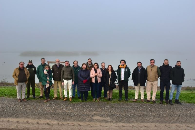 Junta Sevilla tweet media