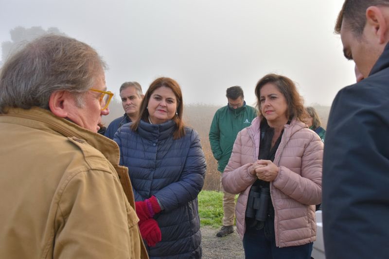 Junta Sevilla tweet media