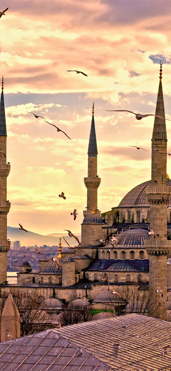 bosphoruswdu's tweet image. Blue Mosque Illuminated at Night – Pure MagicStunning night view with perfect lighting and dramatic atmosphere❤️💯🕌