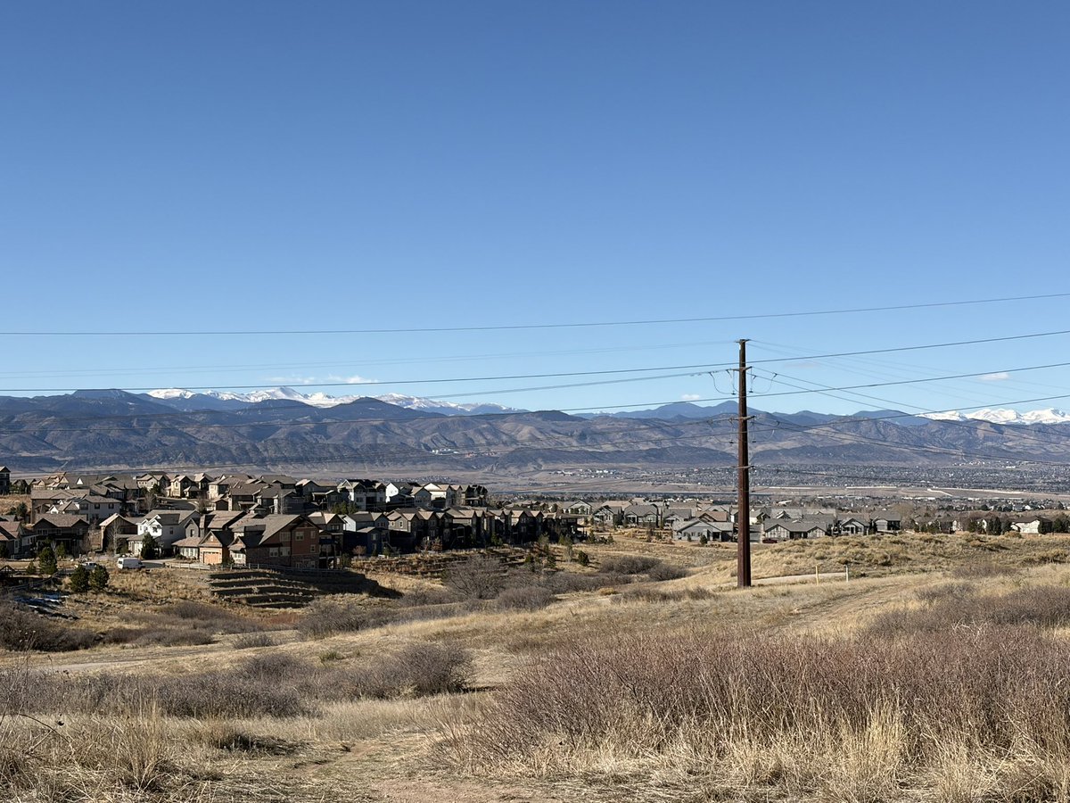 Coach Matt Mitchell tweet media