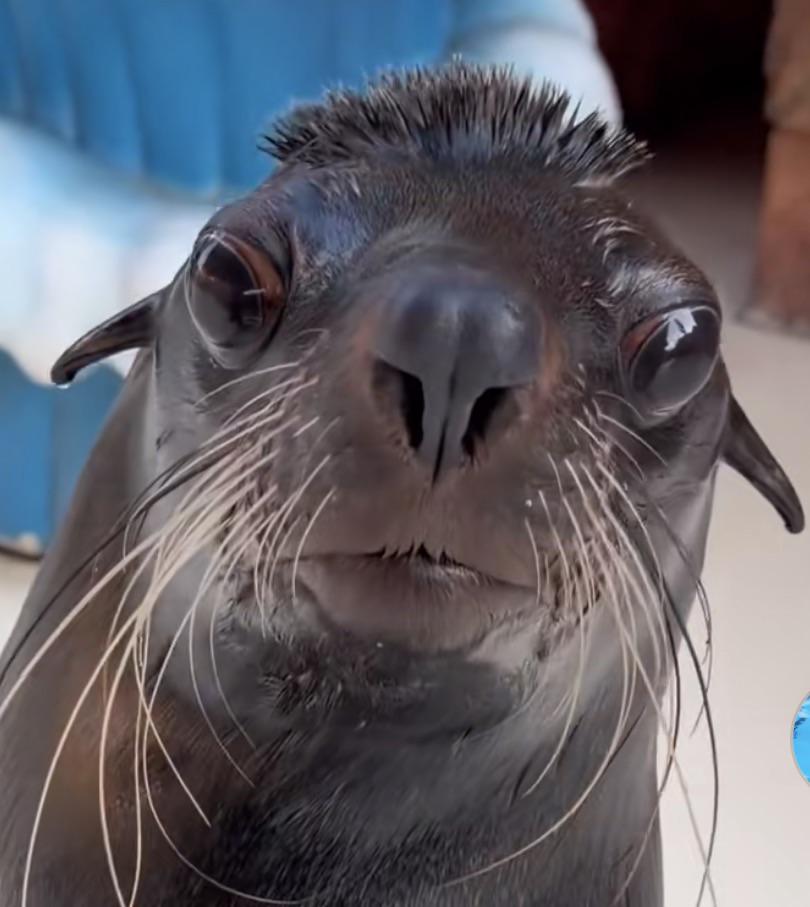 The First Descendant Fans tweet media