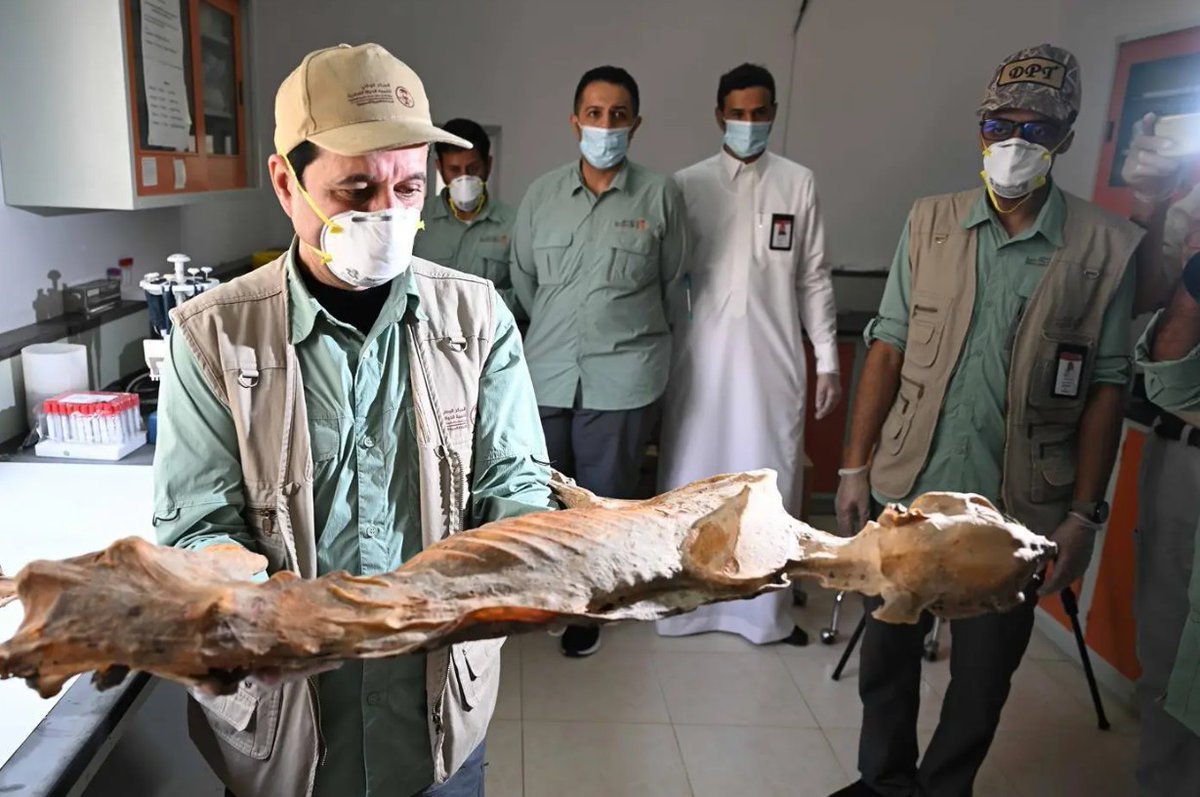 إياد الحمود tweet media