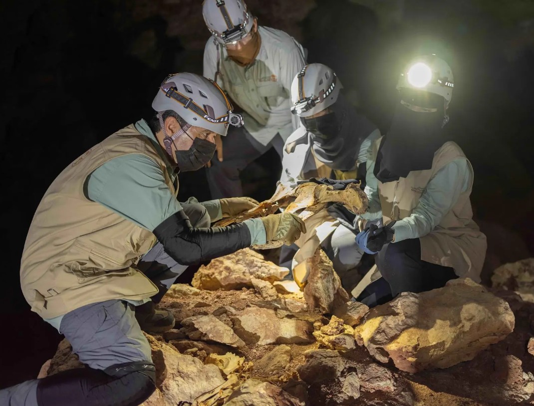 إياد الحمود tweet media