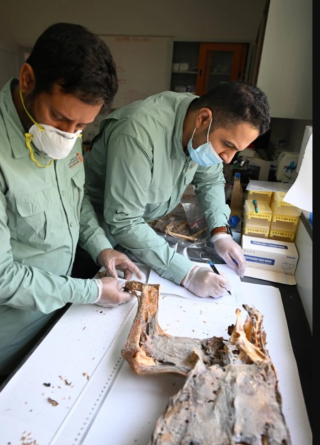 إياد الحمود tweet media