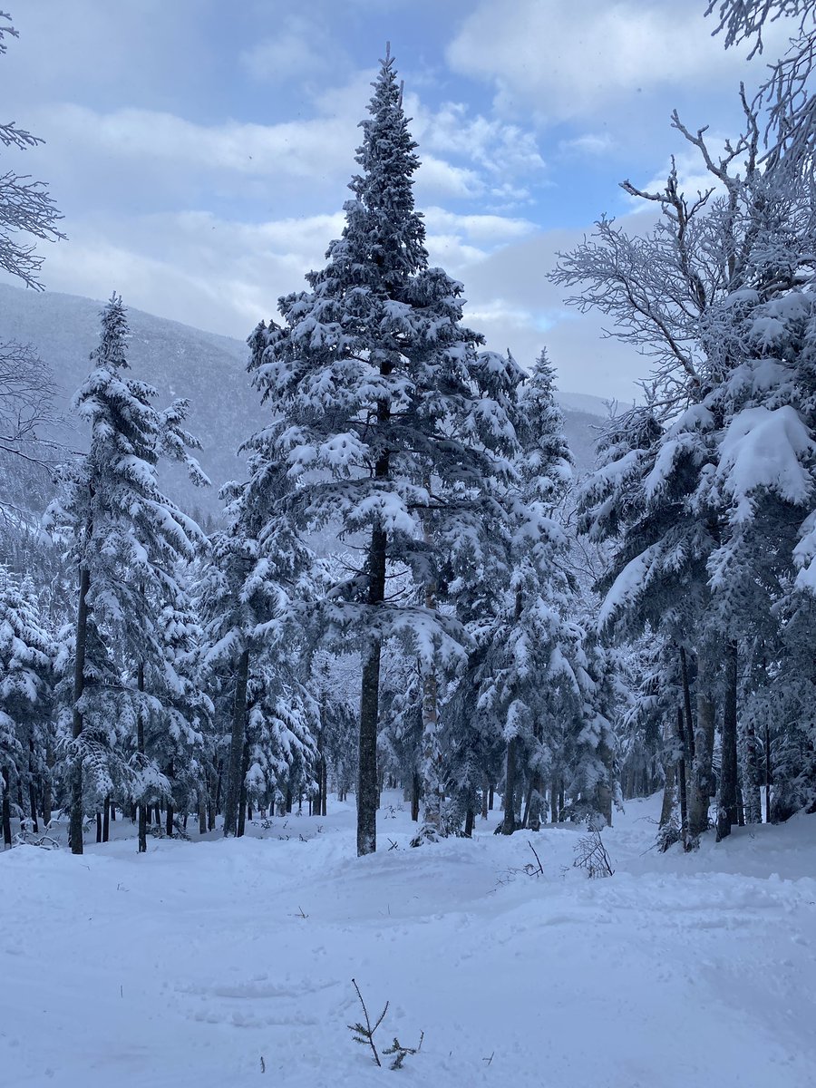 Lincoln in the Adirondacks ⛷️ tweet media