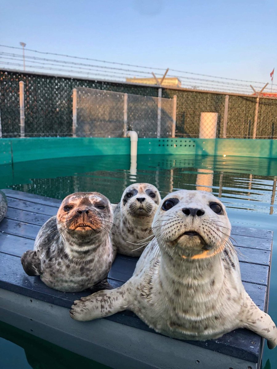 grindgod26's tweet image. These look like 3 evil henchmen who are actually good but just happen to be on the wrong side