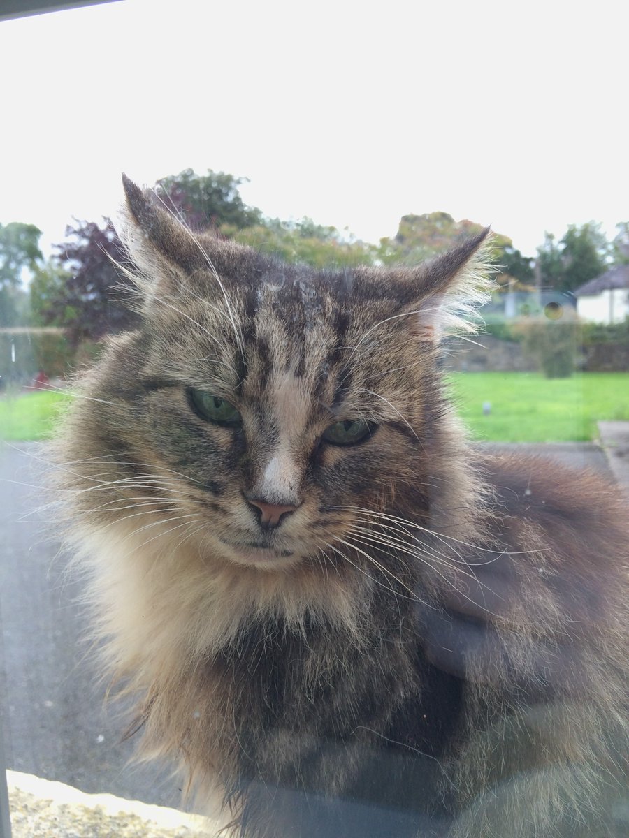 Steven O'Brien tweet media