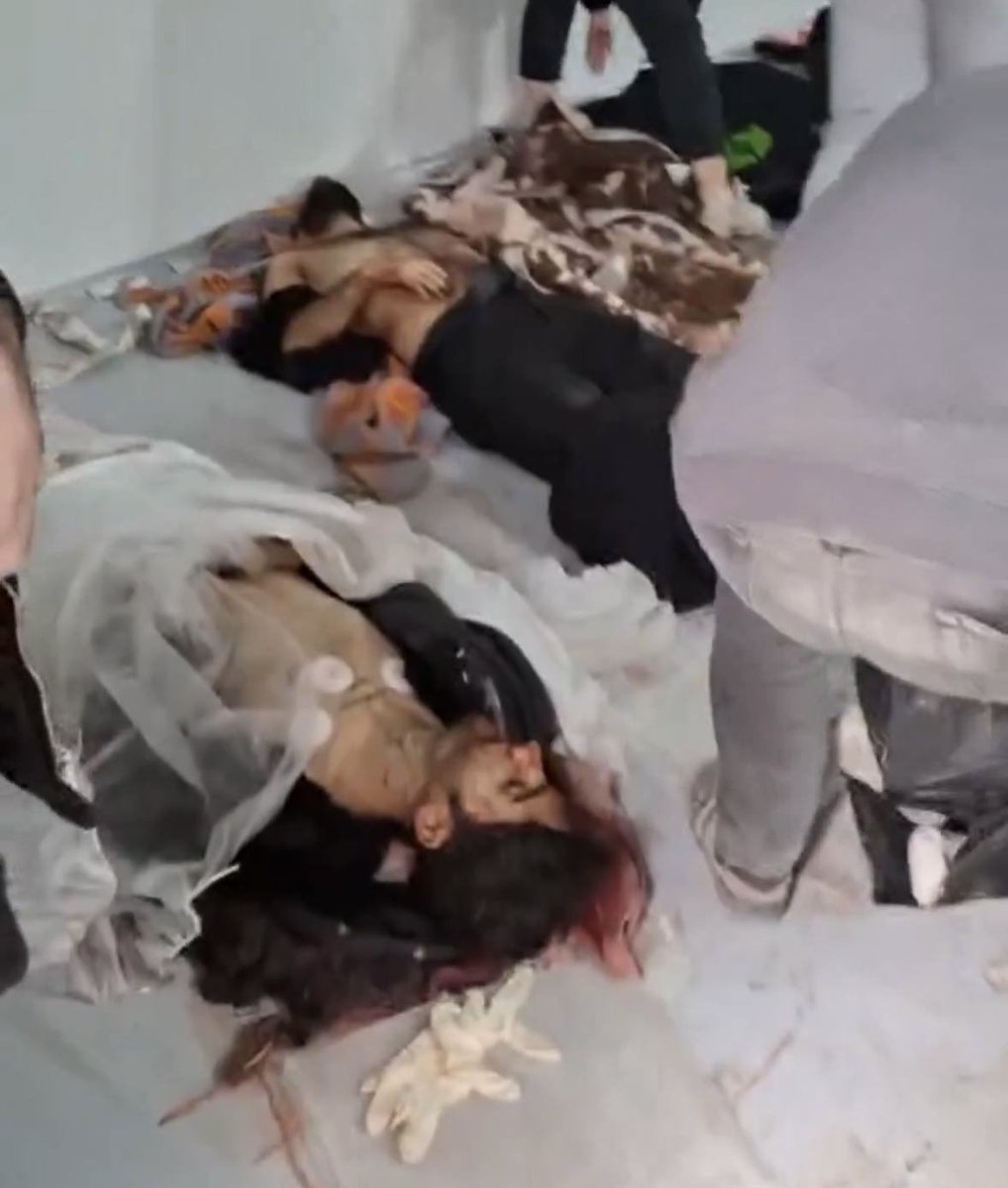 Ashkan Monfared tweet media