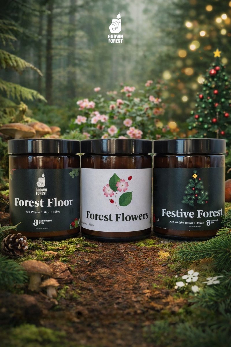 After months of careful work, we are proud to release the Grown Forest Signature Candle Collection. 🔥
Our candles are hand-poured and inspired by real Irish woodland, created to bring the forests we protect into people’s homes.

Click here for more info:
grownforest.ie/shop/?e-filter…