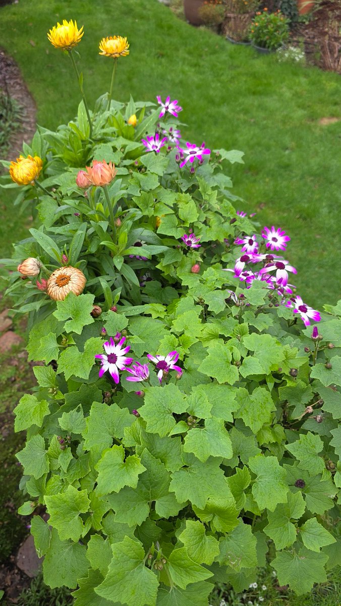 SpokenGarden tweet media