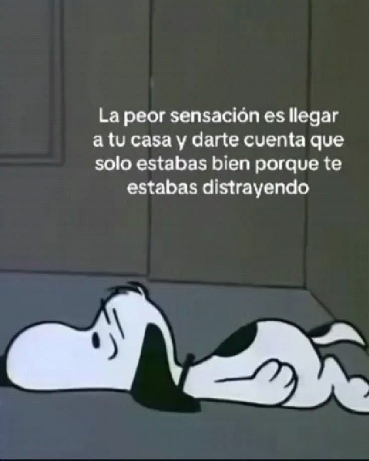 Escrito Ideal (@escrito_ideal) on Twitter photo 