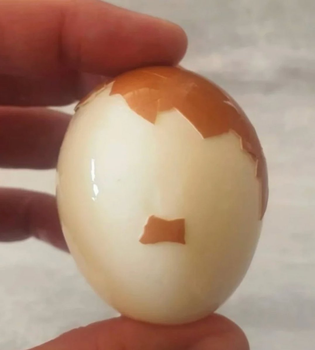 GARLOTIC tweet media