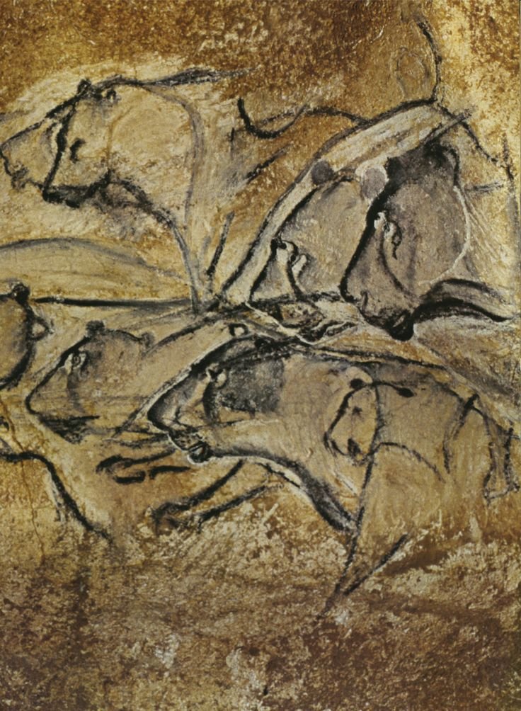 @Banana_Pony 🍌 tweet media