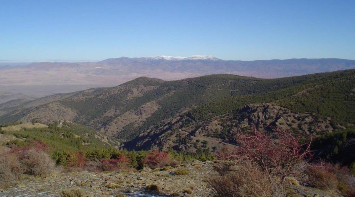 Capella Expands Copper-Gold Portfolio with Earn-In Agreement on the Solana IOCG Project, Southern Spain - resourceworld.com/capella-expand… #ResourceWorld #resourceinvesting #miningnews #mining <a href="/CapellaMinerals/">Capella Minerals Ltd.</a> #gold #copper