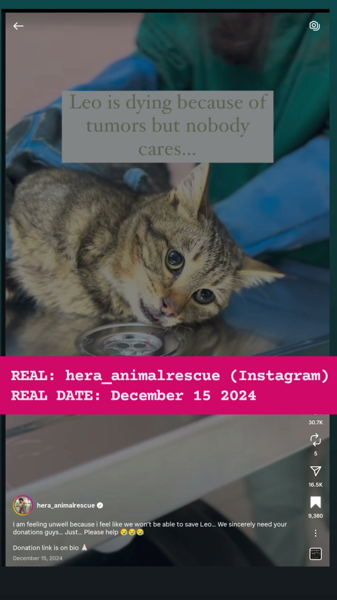 Atroctyxhibtion's tweet photo. @UAanimalres 🚨🚨 WARNING PET SCAMMERS ALERT!!🚨🚨
DO NOT DONATE TO DIMITROV ANIMAL SHELTER @UAanimalres , THEY'RE FAKE RESCUERS AND LIARS. PLEASE REPORT. https://t.co/xmrTemeR3I