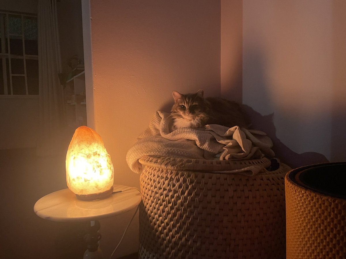 blair costello tweet media