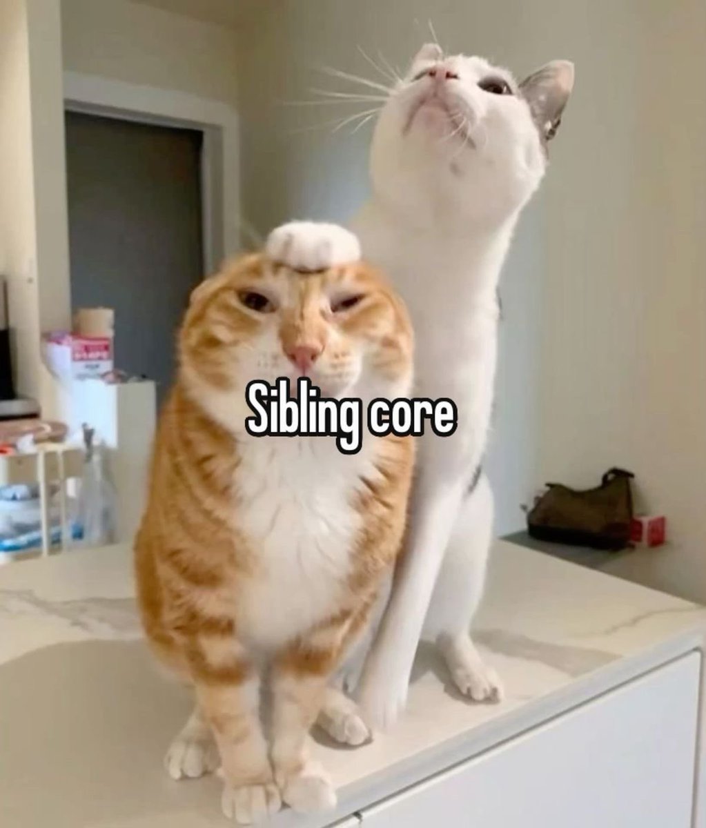 prettyrusslboy's tweet image. 