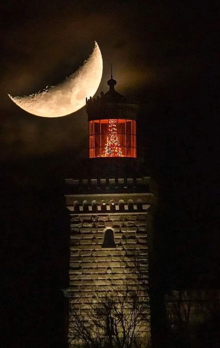 Sonra aramıza şehirler girecek, hiç karşılaşmayacağız.
Tesadüfler bile bir araya getiremeyecek.
Sonra da belki birimiz öleceğiz, 
Diğerimiz hiç bilmeyecek…!

Nazım Hikmet RAN