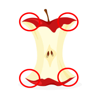 Xil 𓆣 Ex-Pharaoh 𓂀 VTuber 𓆣 tweet media