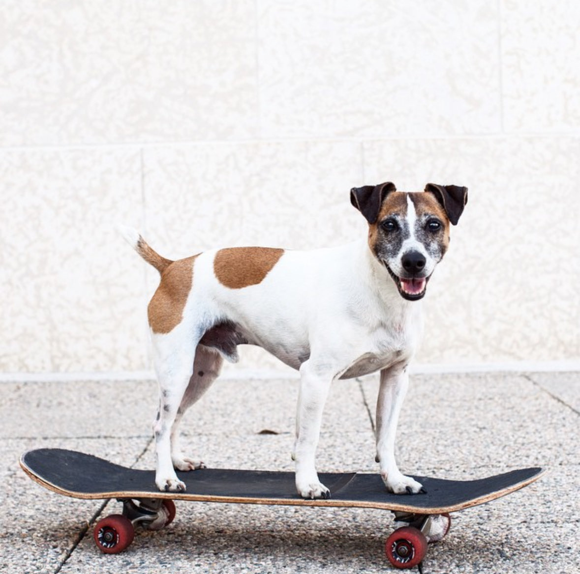 Trilight tweet media