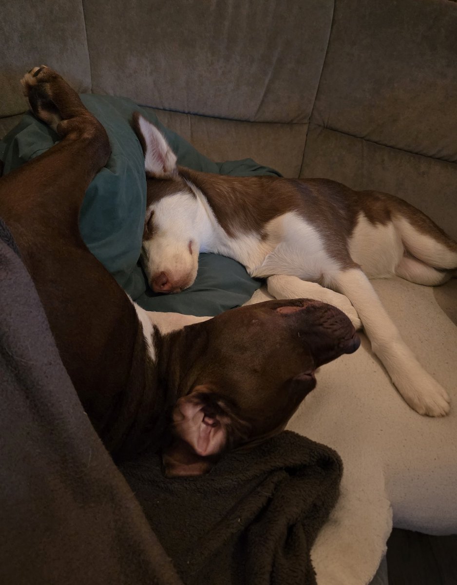 EnergyBorder's tweet image. Nike: Am Ende eines jeden Tages ist nur wichtig, dass ein schöner Moment dabei war, der dich lächeln ließ.