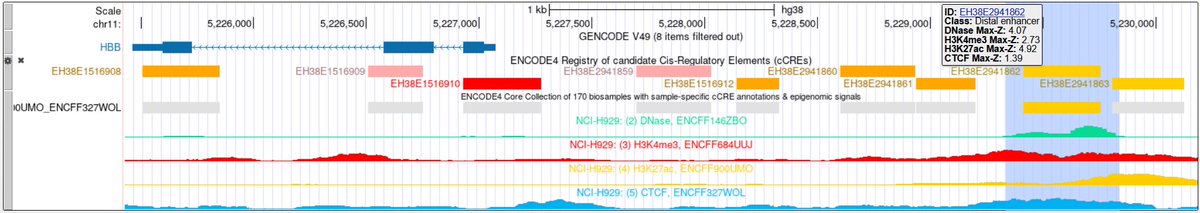 UCSC Genome Browser tweet media