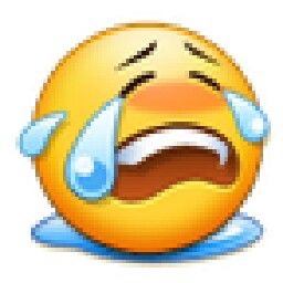 אנשים שבחרו להקדיש את החיים שלהם ללהיות מקצוענים בכדוראוזן הולנדי כשהמדינה לא מממנת אותם ב70 אלף שקל בחודש