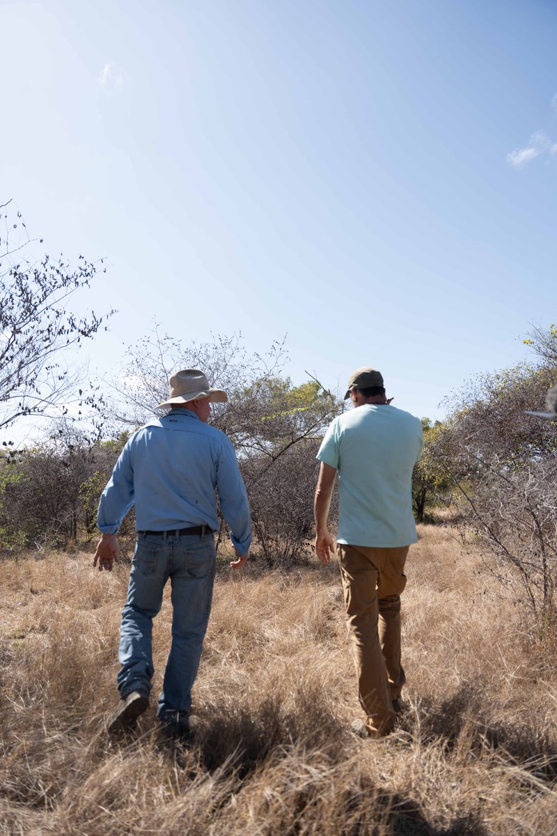 Firesticks tweet media