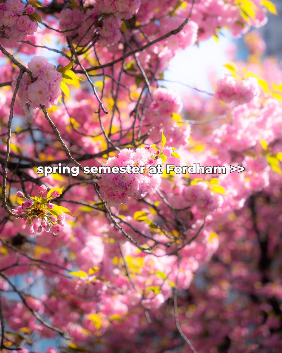 Fordham GSS tweet media