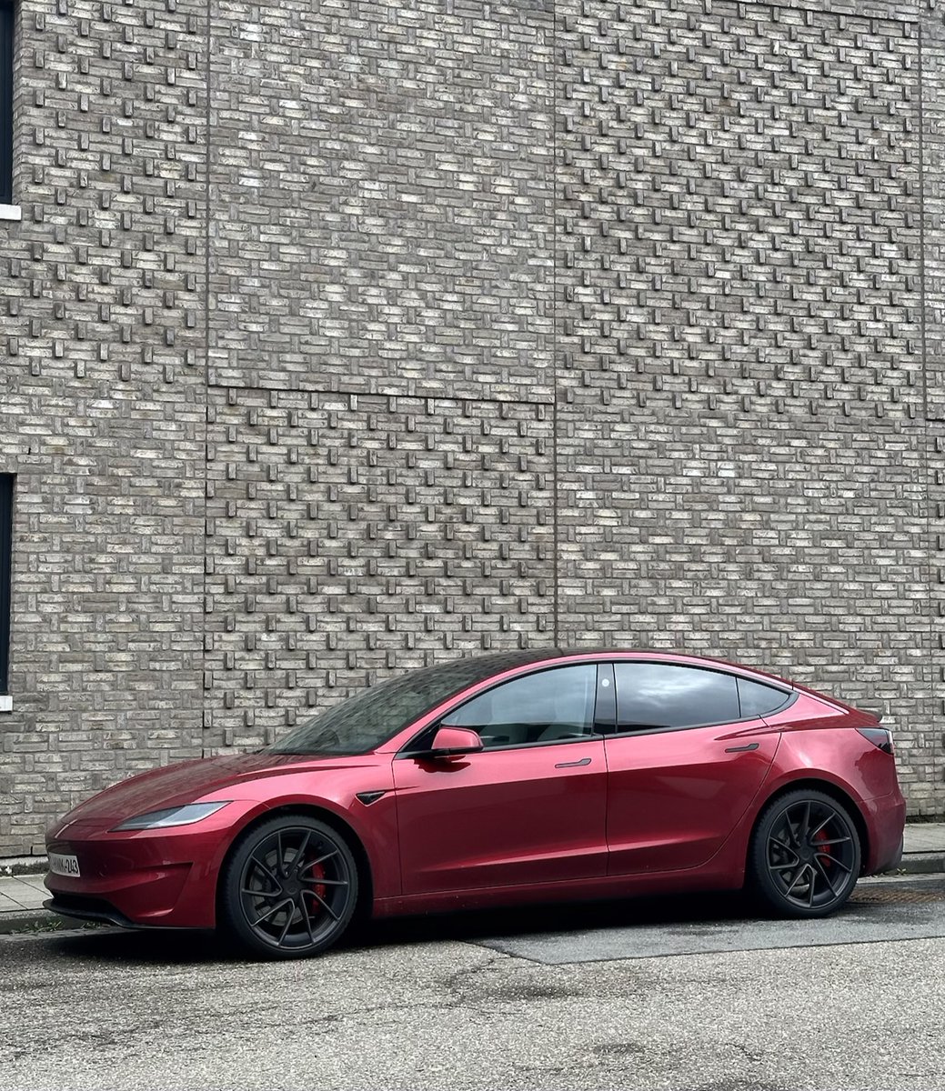 Junior Hemelaer tweet media