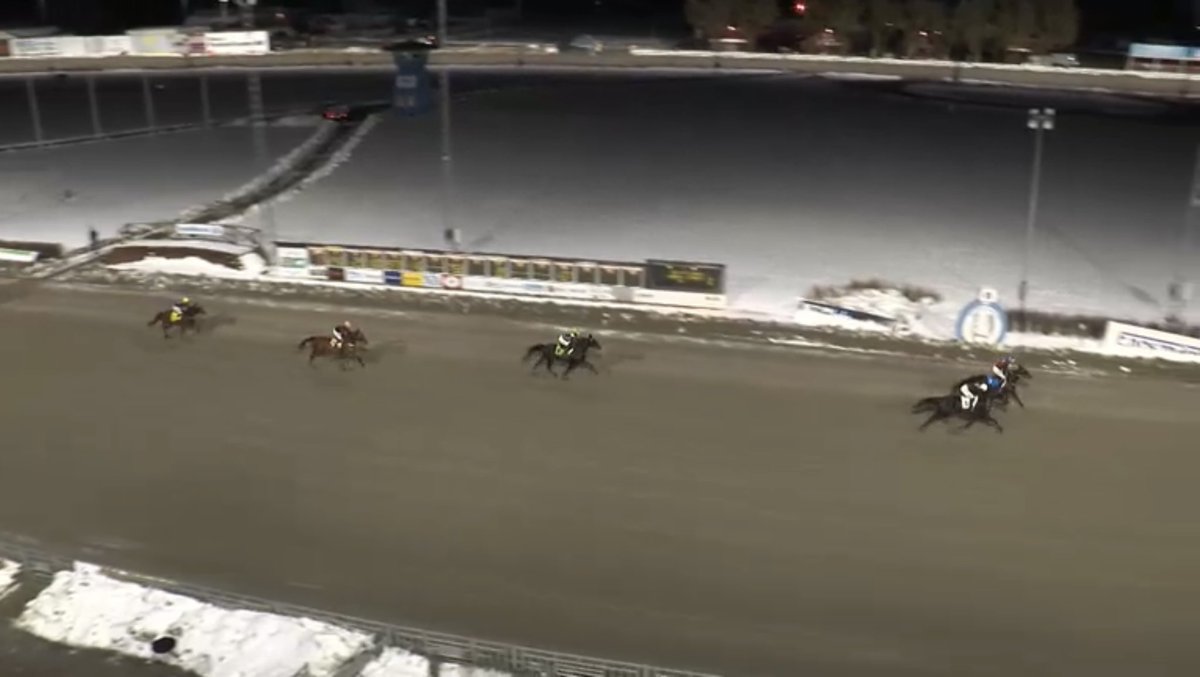 Jonathan Carré🏇🏻🇫🇷🇸🇪 tweet media