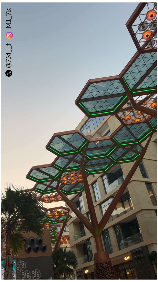 مروءة امرأة tweet media