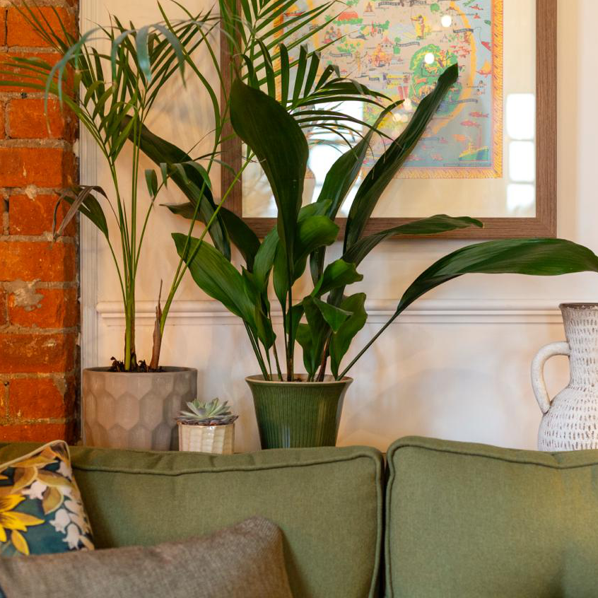 SmartFinancial tweet media