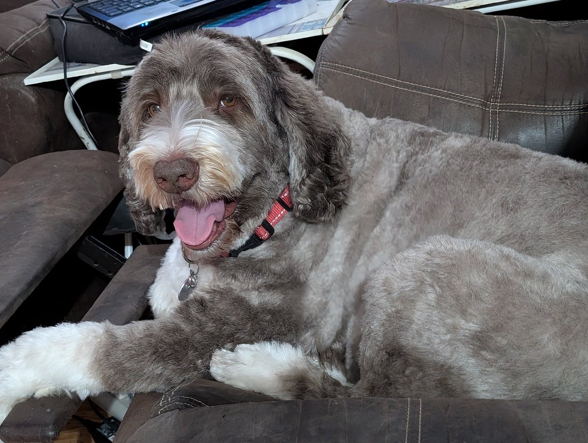 I got a haircut today... I feel great!