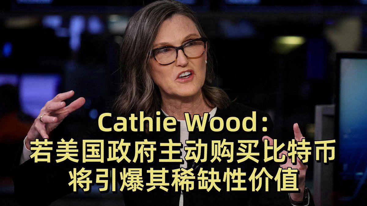 🇺🇸캐시 우드 