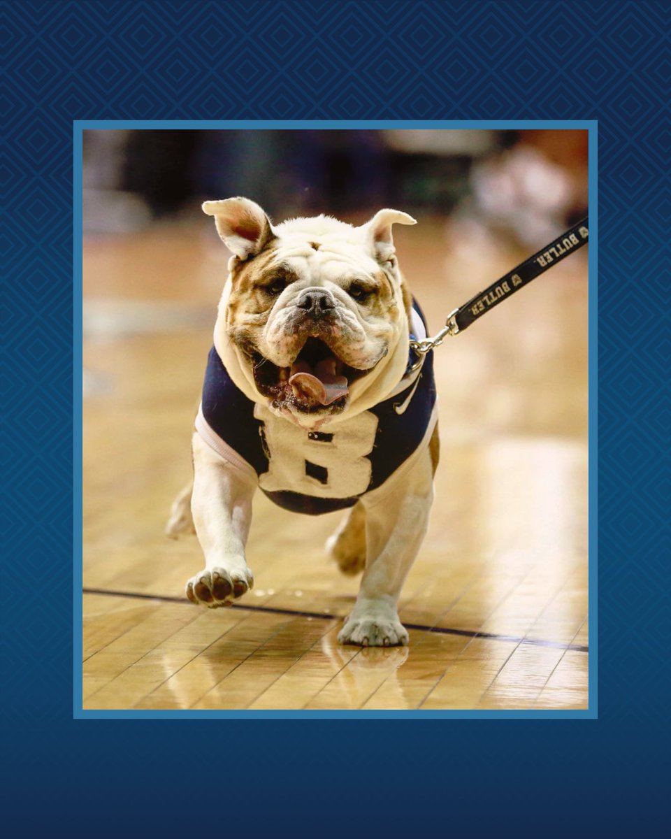 butleru's tweet image. They’re saying 2026 is the new 2016. 🤷 😎 #Throwback