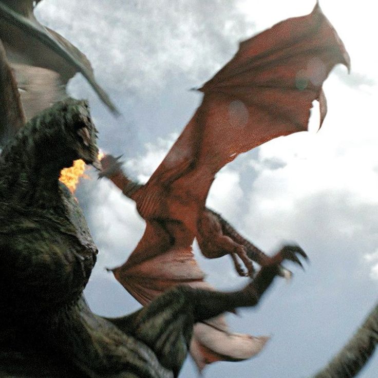 Ugly Vhagar realizing she's about to bite the dust...