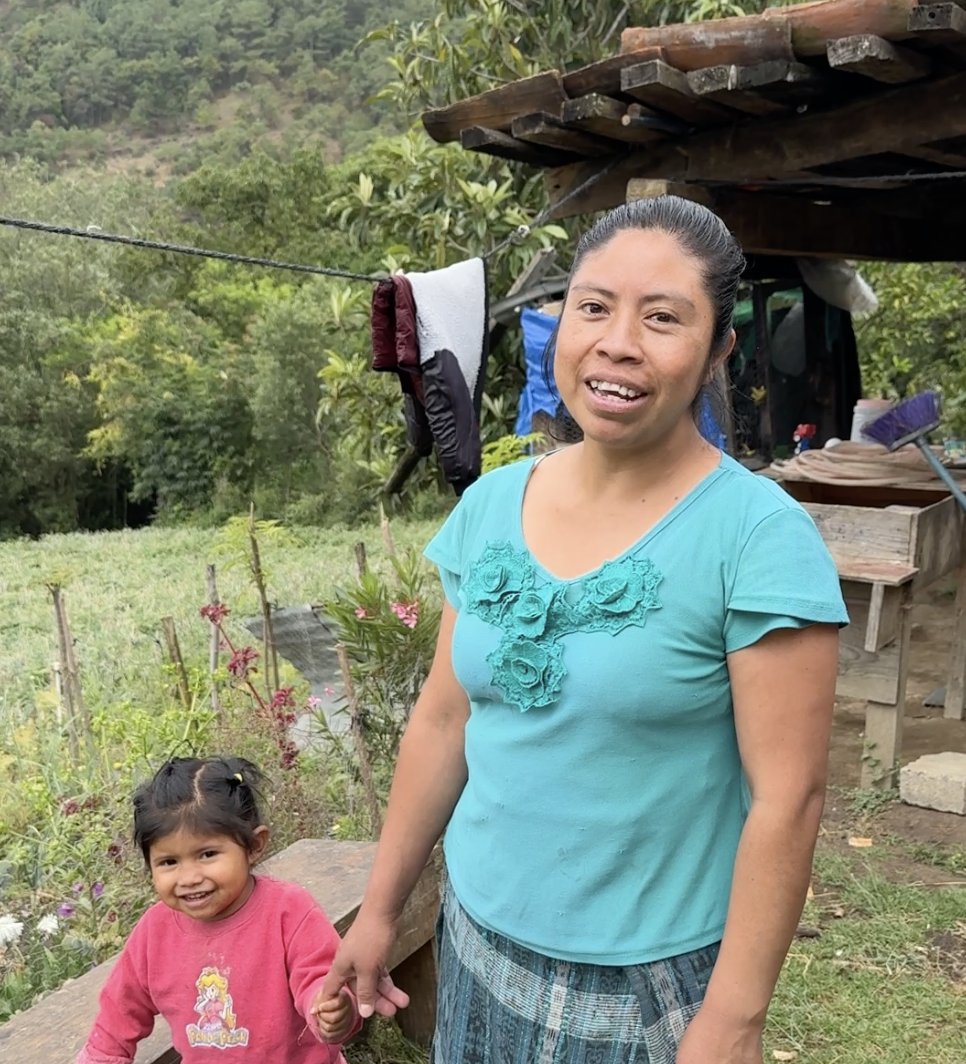 Friendship Bridge tweet media