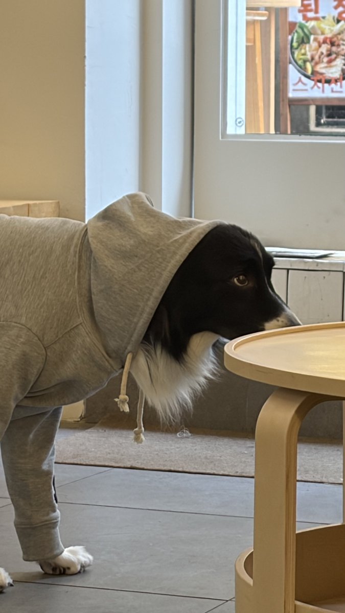 좋사좋시 .. .  ^ ^