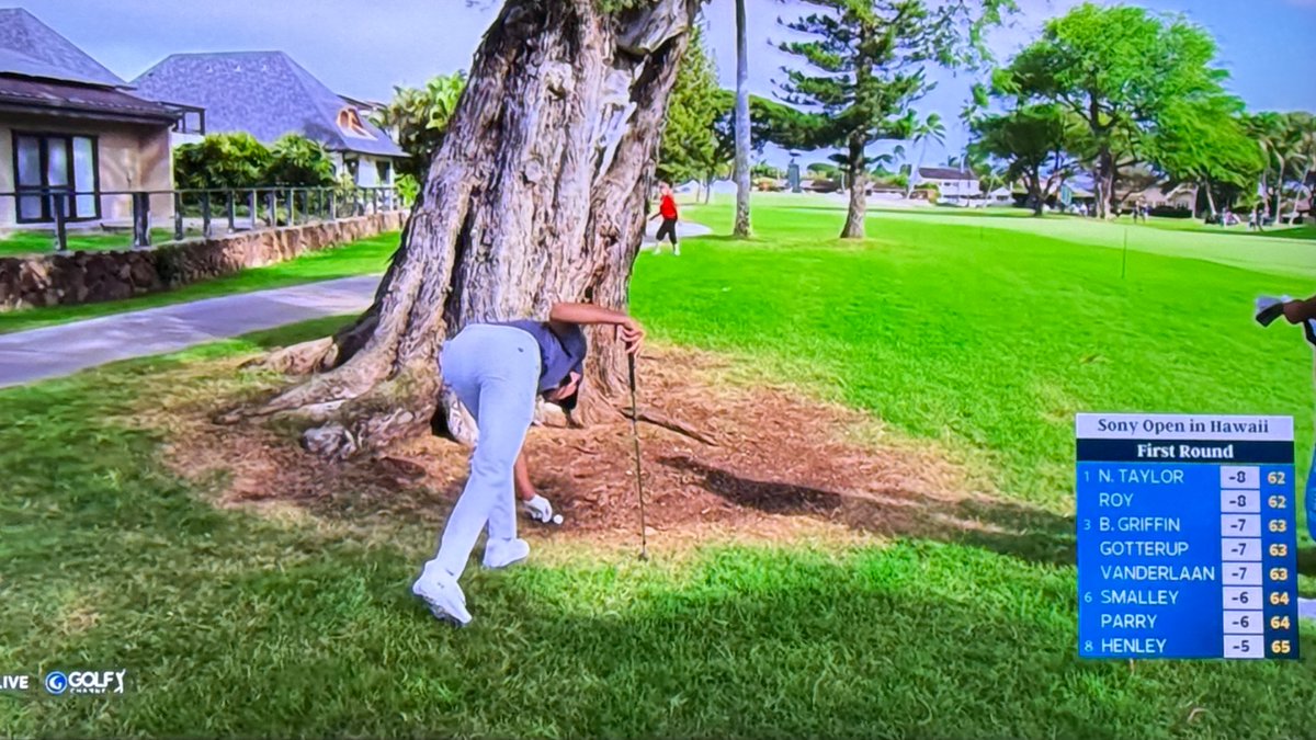 Shane Bacon tweet media