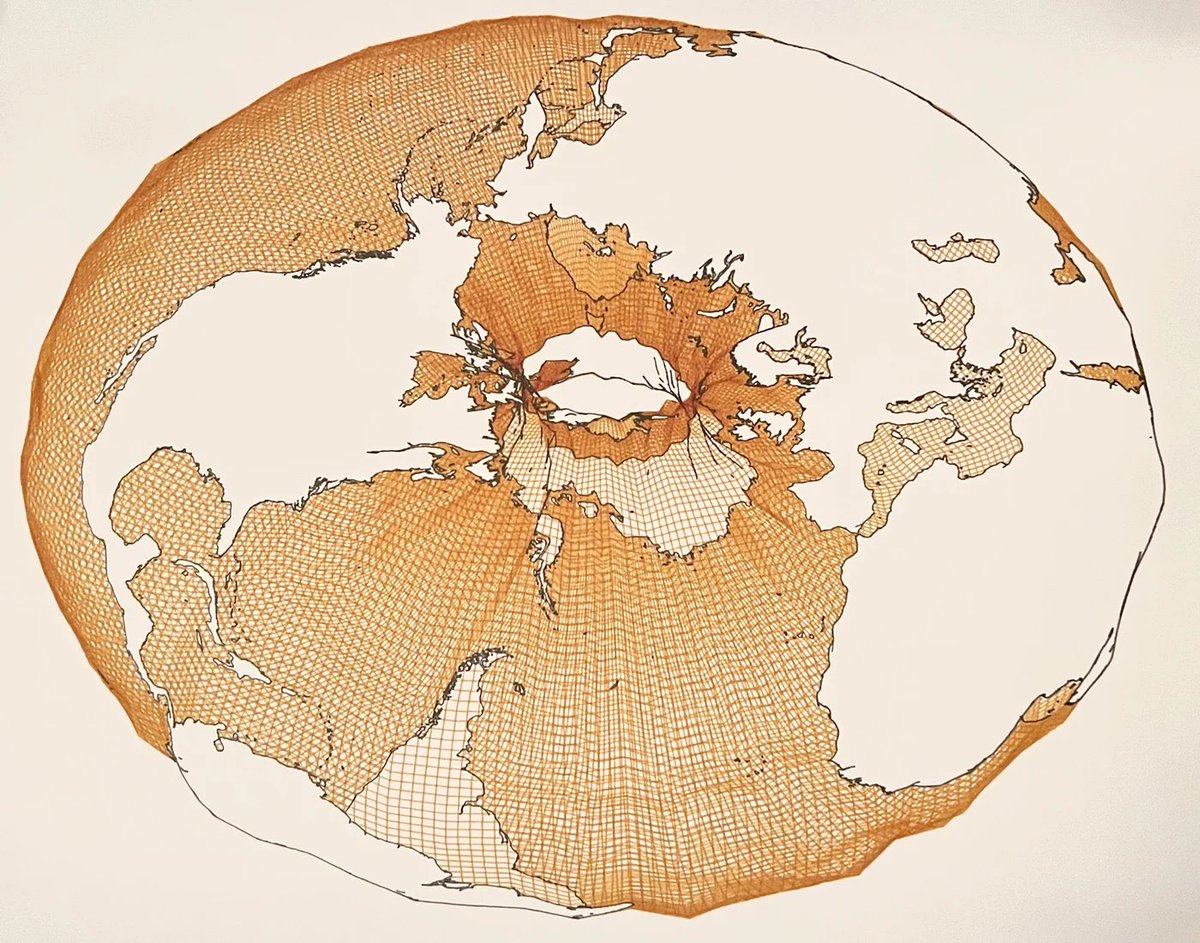 Tim Wallace tweet media