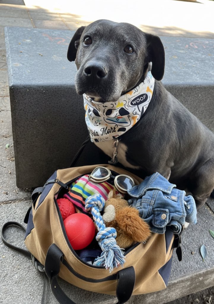 Empacando todo porque mañana me voy a mi nuevo hogar.🩷

Llevo ilusiones, sueños y muchas ganas de ser feliz.
Esperar 12 años por un hogar no es cualquier cosa…
pero por fin, la espera terminó.

Gracias a quienes nunca dejaron de creer.
Mañana empieza una nueva vida para