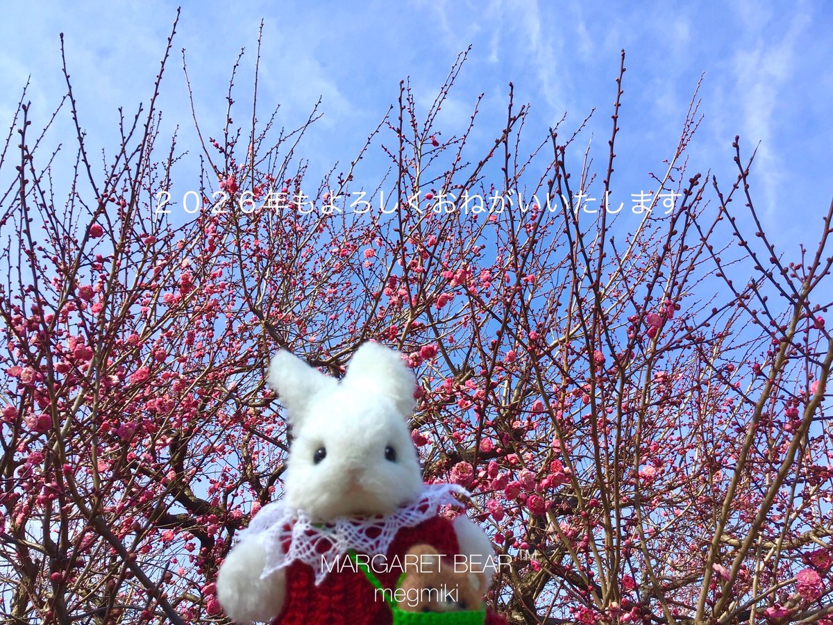 マーガレットベア MARGARET BEAR tweet media