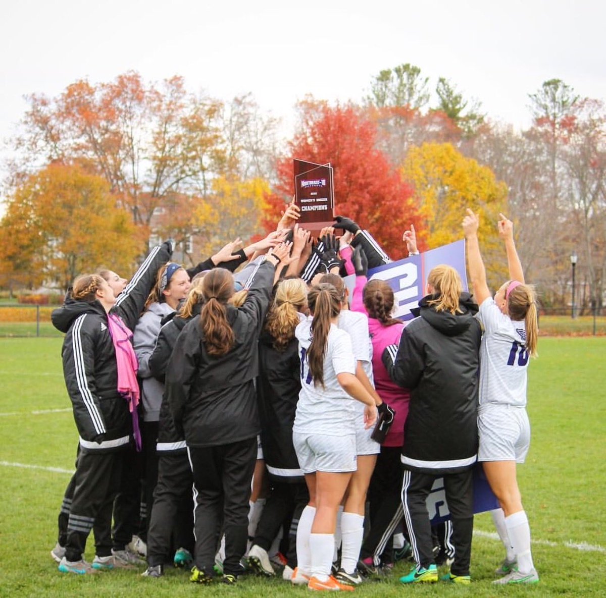 Alex E. Wilson tweet media