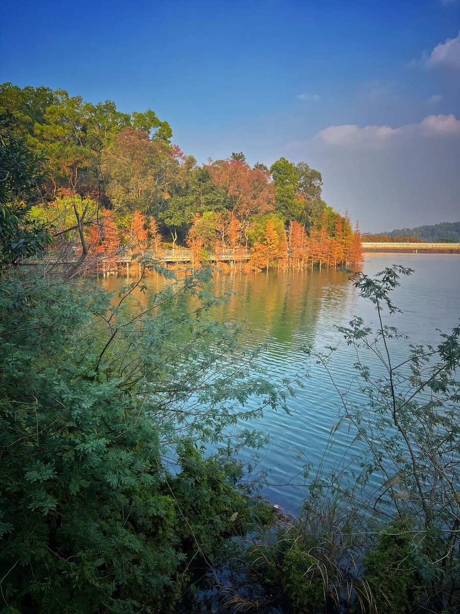 Runfurthermore's tweet image. ここで朝のランニングをするととてもリラックスでき、新鮮な空気を吸い込む感覚が本当に楽しいです