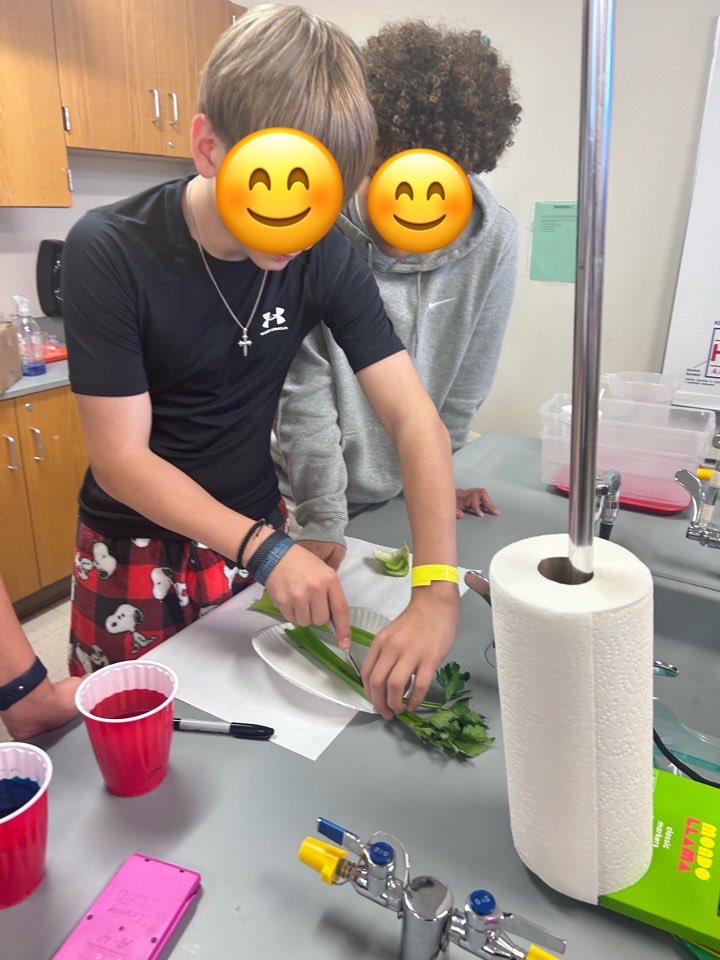 Ms. Cutler🔬 tweet media